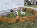 20210416_141748 (Large)