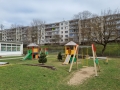20210416_142353 (Large)